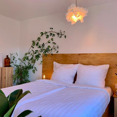 Greenbnbs: Gemutliches Design Apartment 埃森 外观 照片